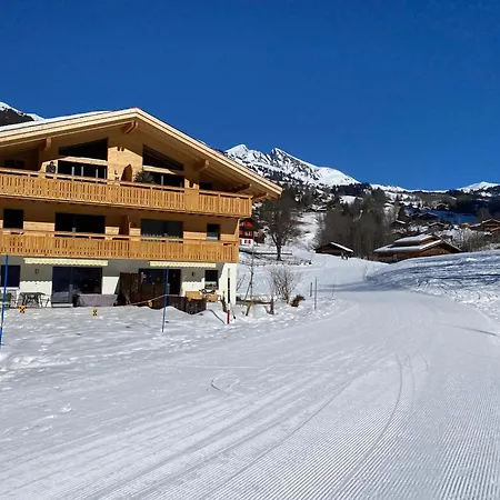 Bergwohl Apartment Grindelwald Exterior photo