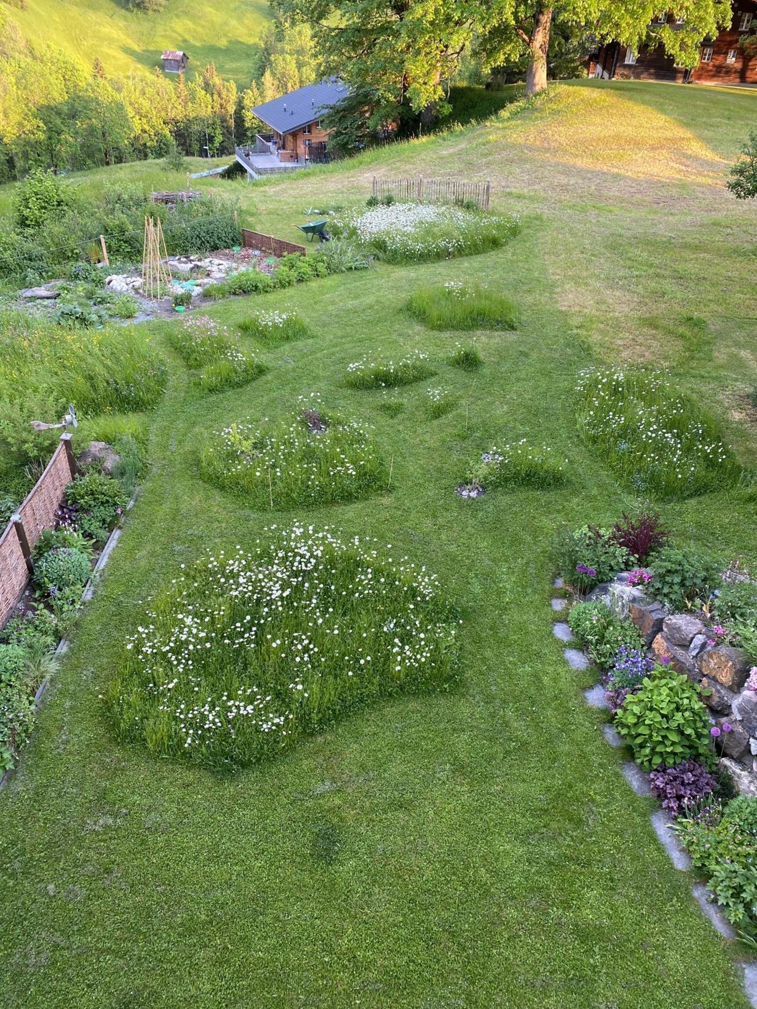 Bergwohl Apartamento Grindelwald
